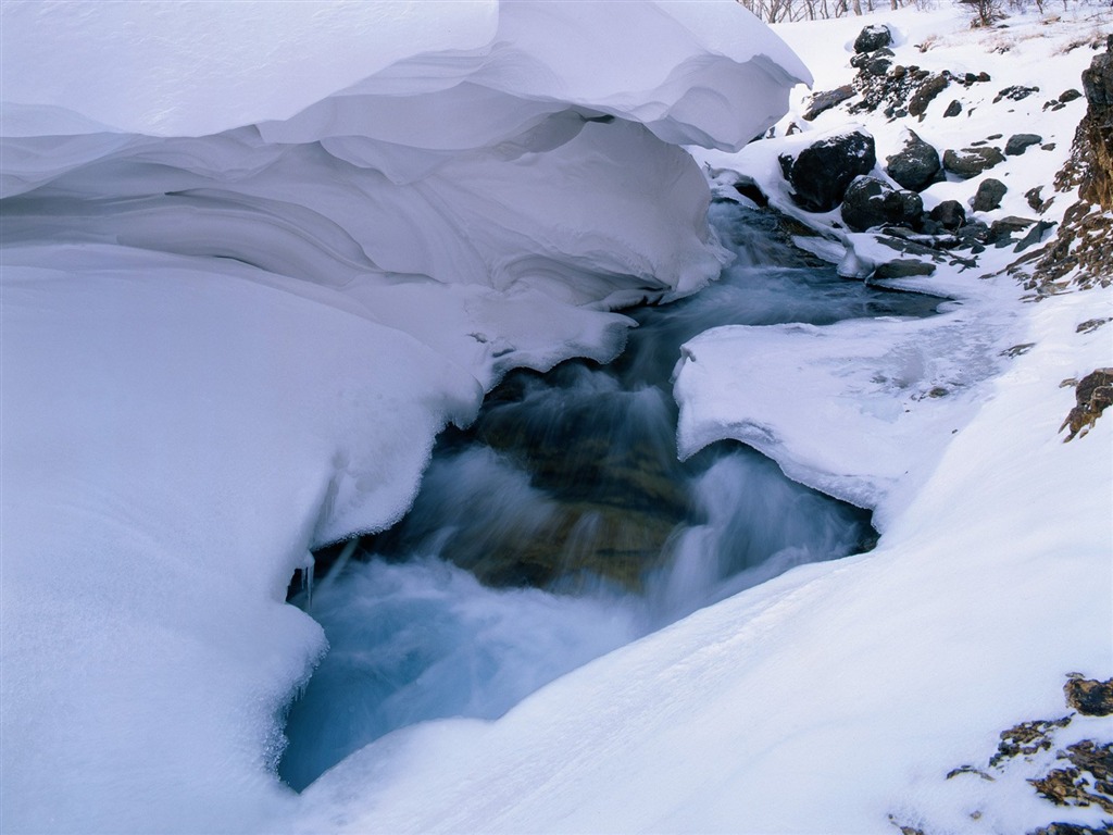 冬天雪景壁紙 #26 - 1024x768
