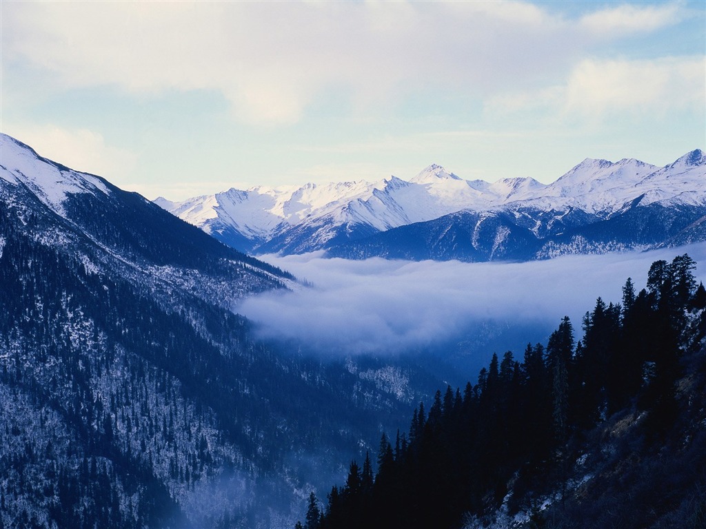 Zimní sníh tapety #31 - 1024x768