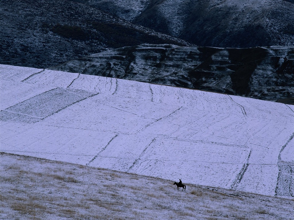 Winter Snow Wallpaper #32 - 1024x768