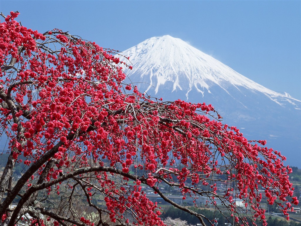 Monte Fuji, fondos de escritorio de Japón (1) #1 - 1024x768
