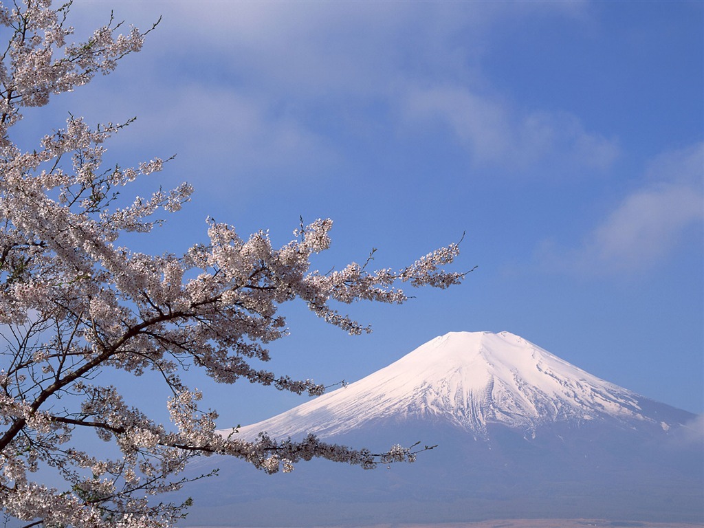 富士山、日本の壁紙 (1) #4 - 1024x768