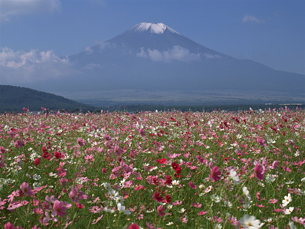 富士山、日本の壁紙 (1) #20 - 1024x768