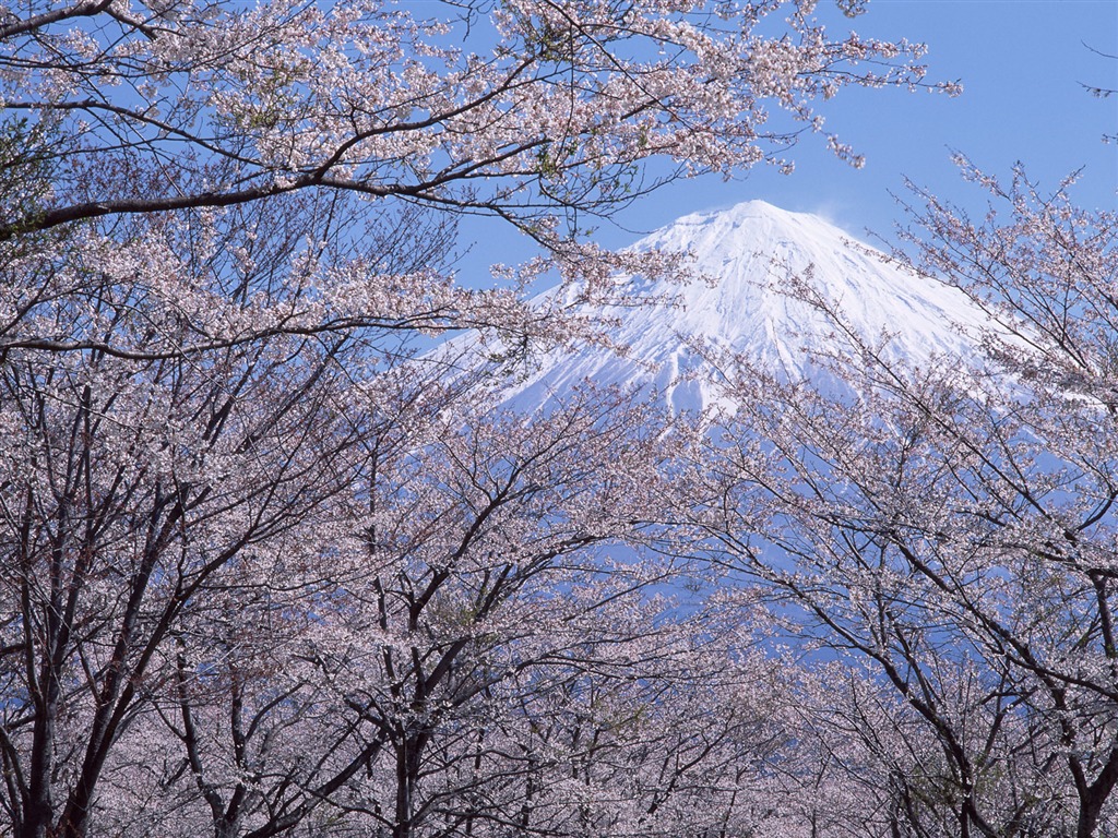 Mount Fuji, Japonsko tapety (2) #9 - 1024x768