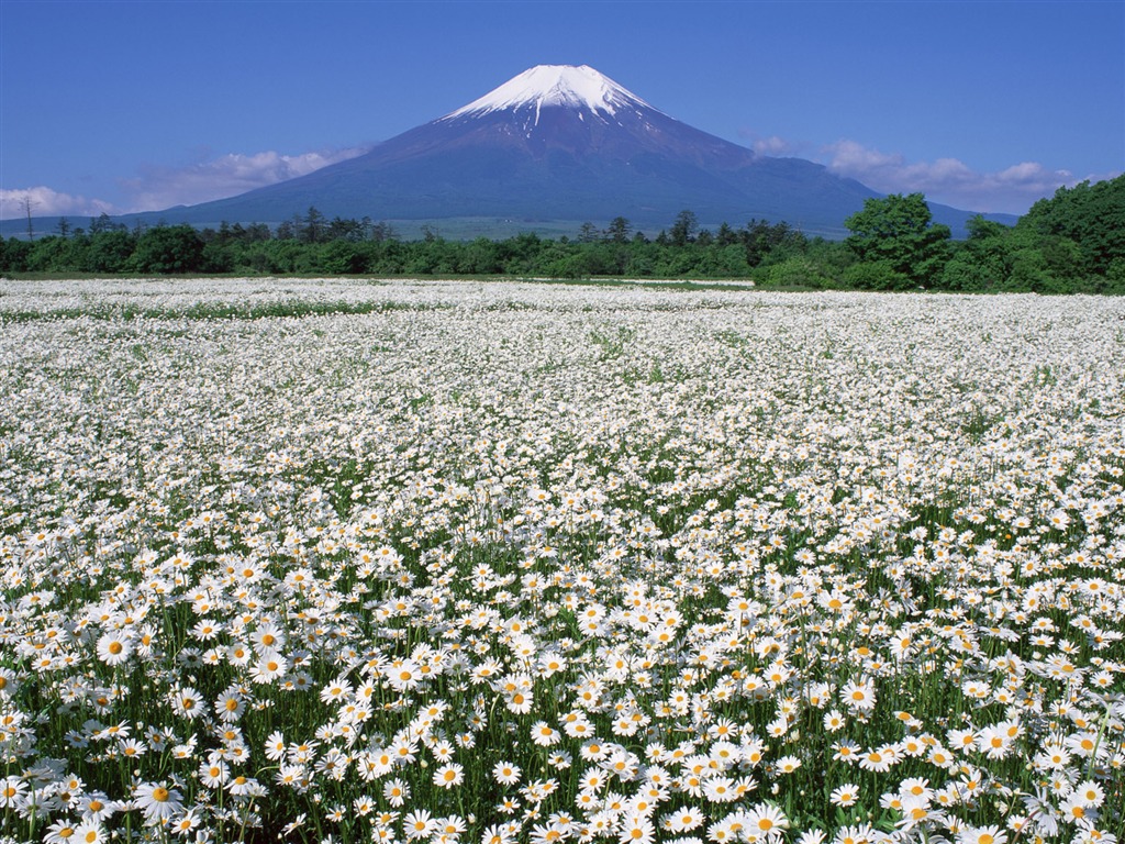 Mount Fuji, Japonsko tapety (2) #15 - 1024x768