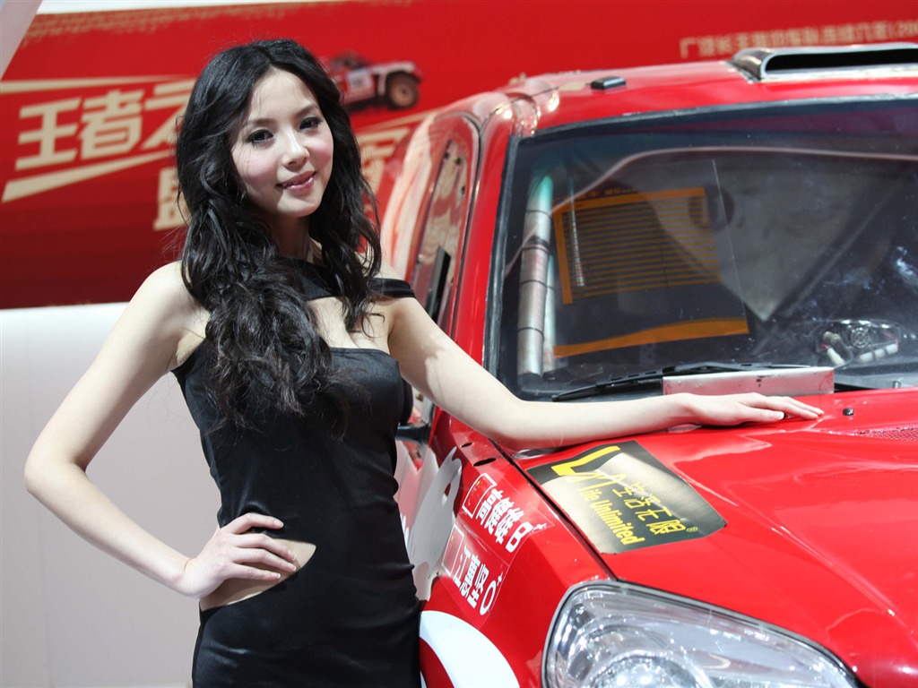 2010 Beijing International Auto Show beauty (1) (the wind chasing the clouds works) #32 - 1024x768