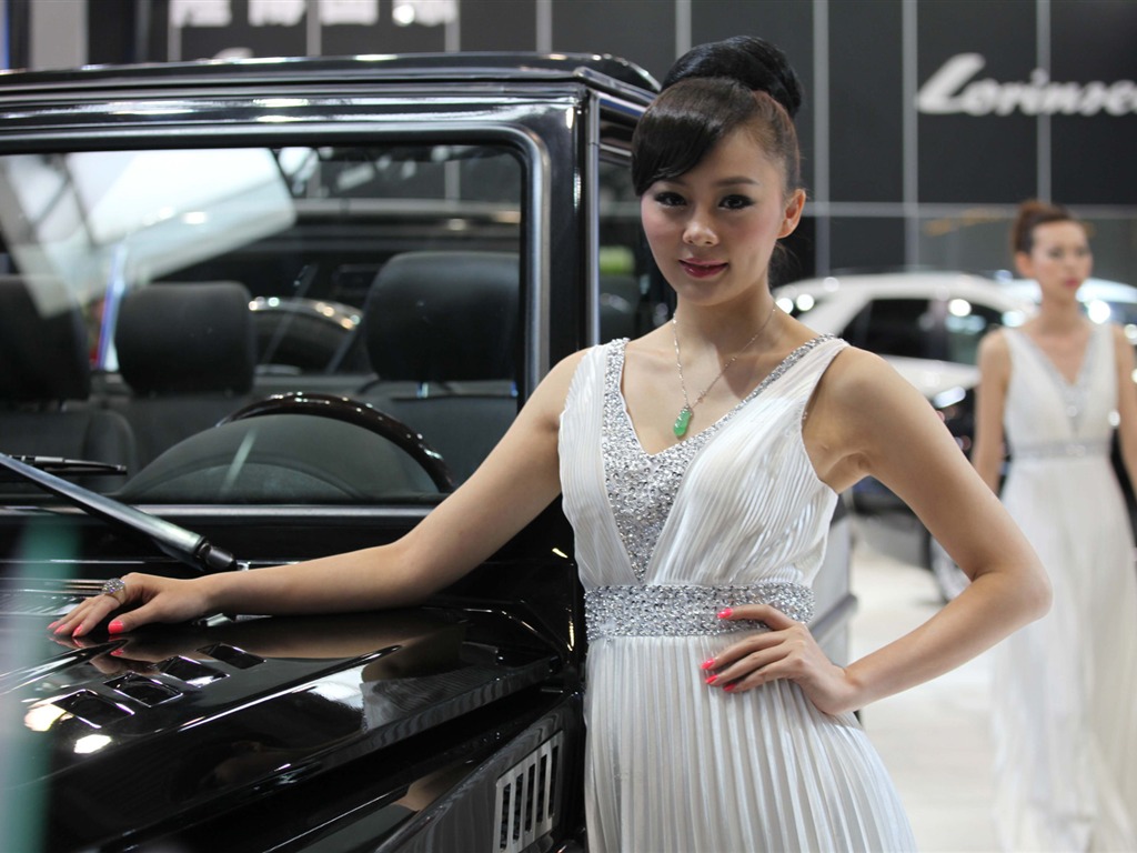 2010 Beijing International Auto Show beauty (1) (the wind chasing the clouds works) #35 - 1024x768