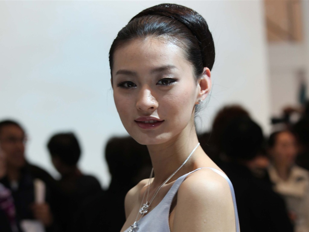 2010 Beijing International Auto Show beauty (2) (the wind chasing the clouds works) #24 - 1024x768