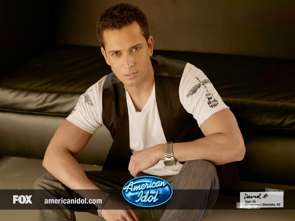 American Idol wallpaper (1) #19 - 1024x768