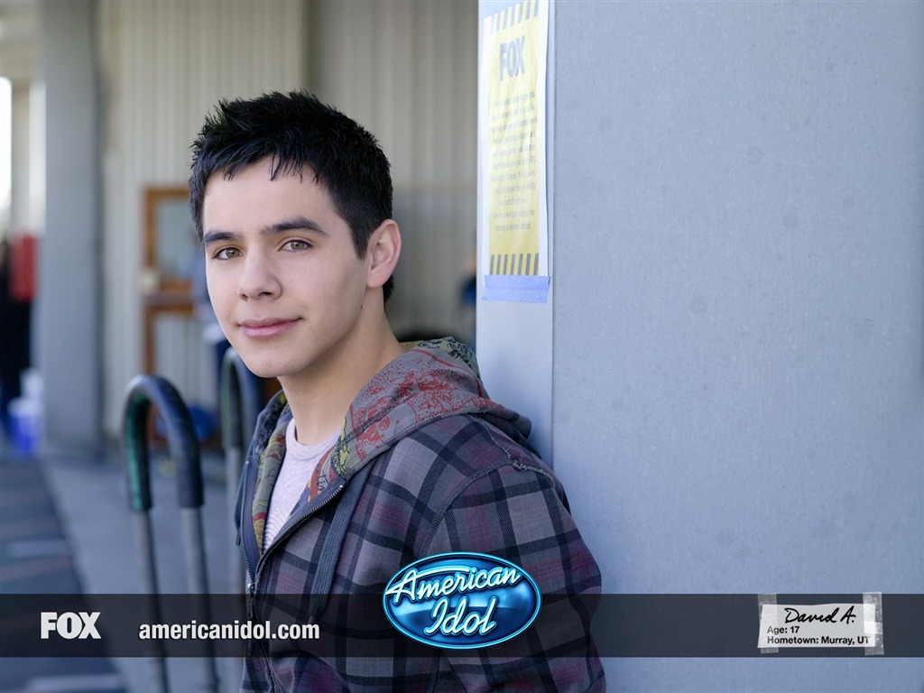 American Idol 美國偶像 壁紙(一) #23 - 1024x768