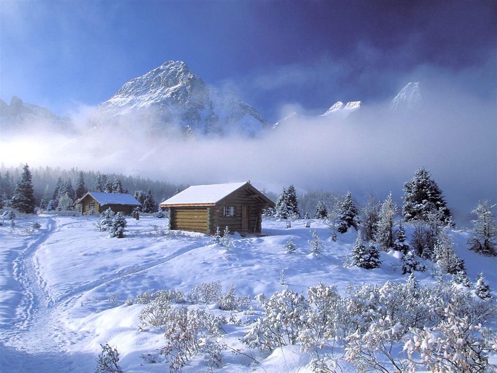 Winter Snow wallpaper (2) #2 - 1024x768