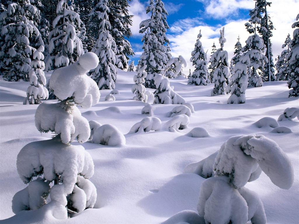 Winter Snow wallpaper (2) #3 - 1024x768