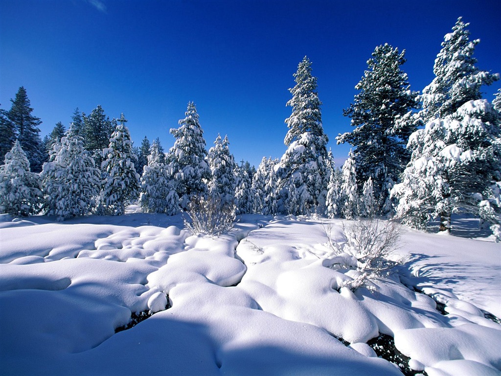 Invierno Nieve fondo de pantalla (2) #4 - 1024x768