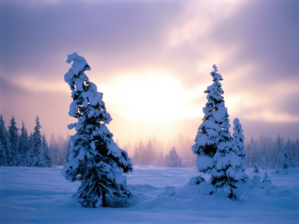 Winter Snow wallpaper (2) #6 - 1024x768