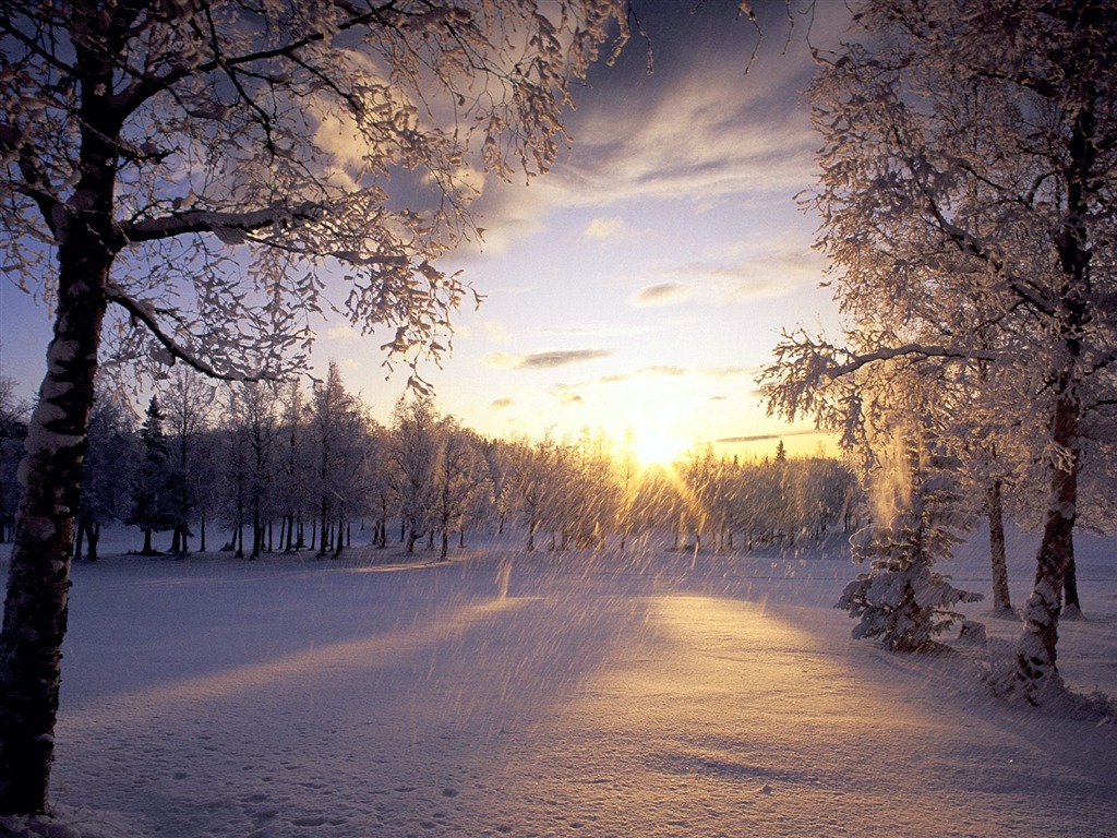 Zimní sníh tapety (2) #8 - 1024x768