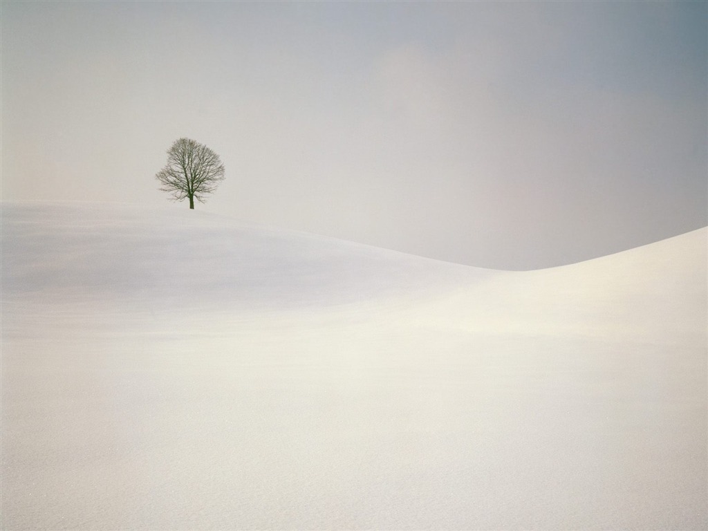冬天雪景壁紙(二) #17 - 1024x768