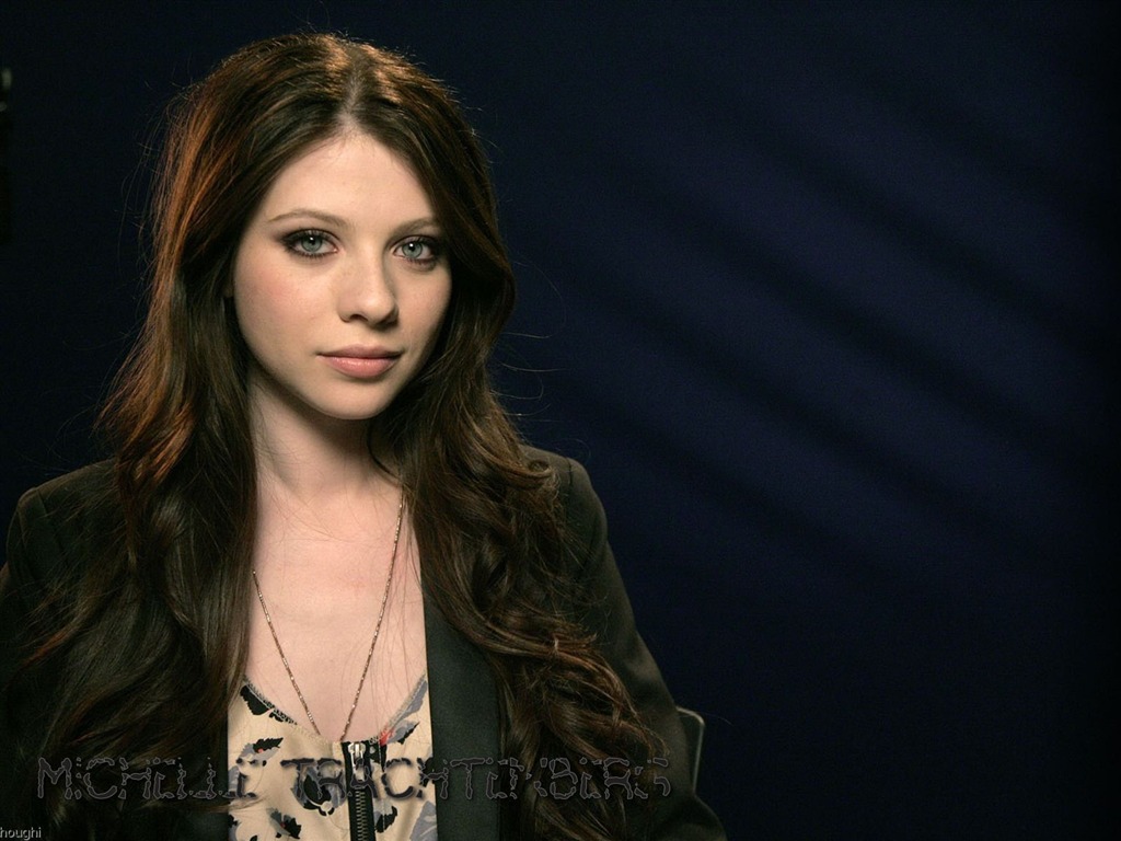 Michelle Trachtenberg 米歇尔·崔切伯格 美女壁纸14 - 1024x768