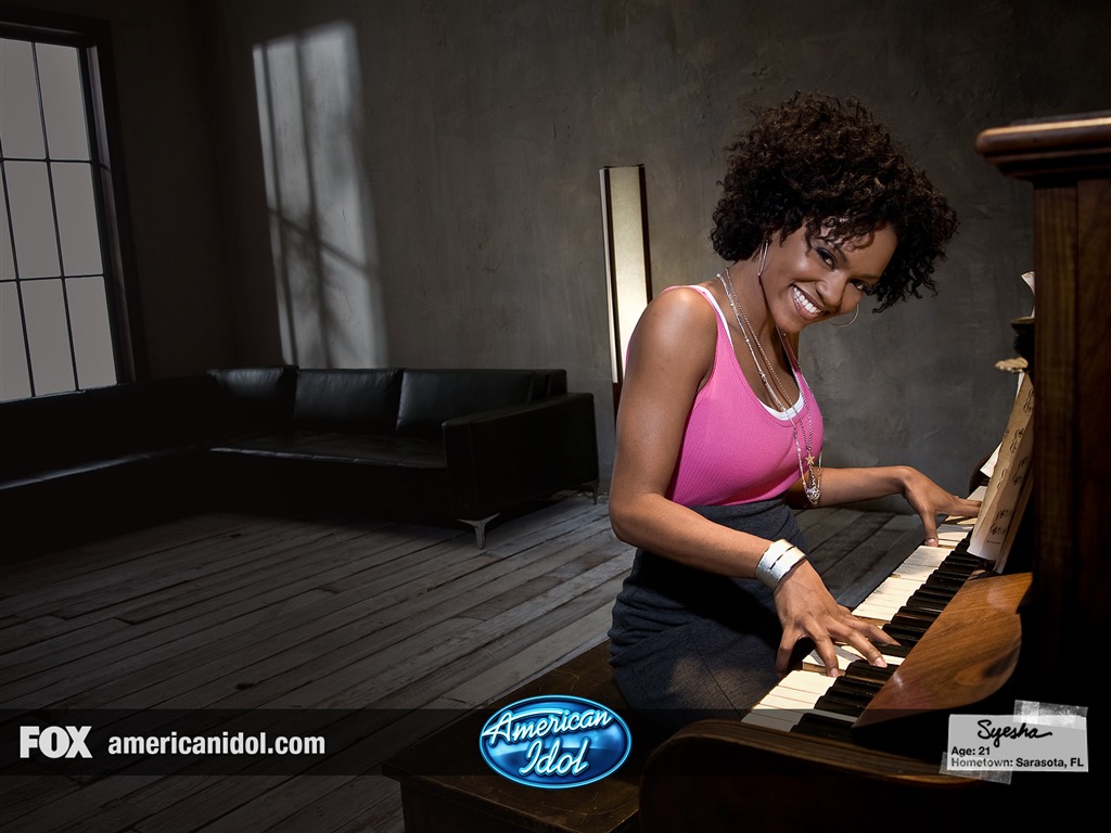 American Idol fondo de pantalla (2) #10 - 1024x768