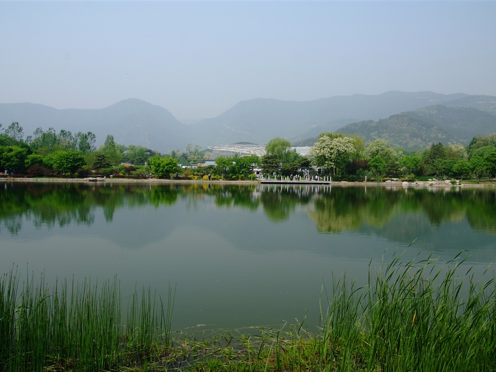 初夏的香山植物園 (螺紋鋼作品) #23 - 1024x768