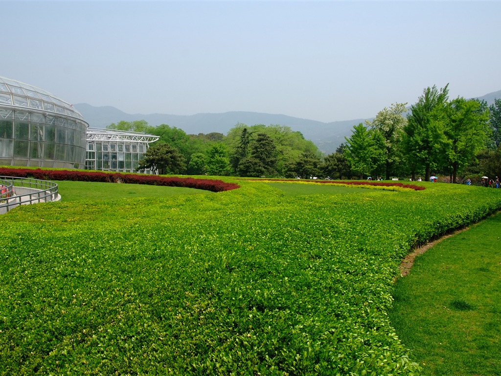 初夏的香山植物園 (螺紋鋼作品) #24 - 1024x768