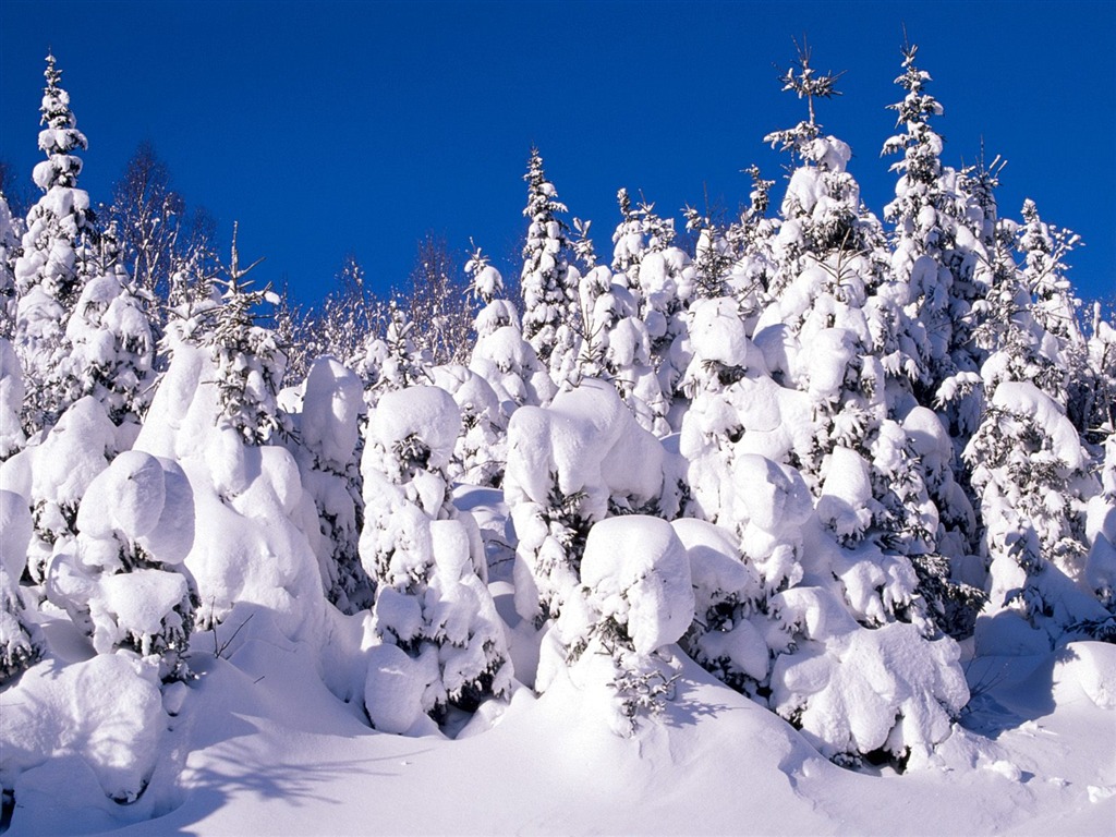 Winter Snow wallpaper (3) #2 - 1024x768