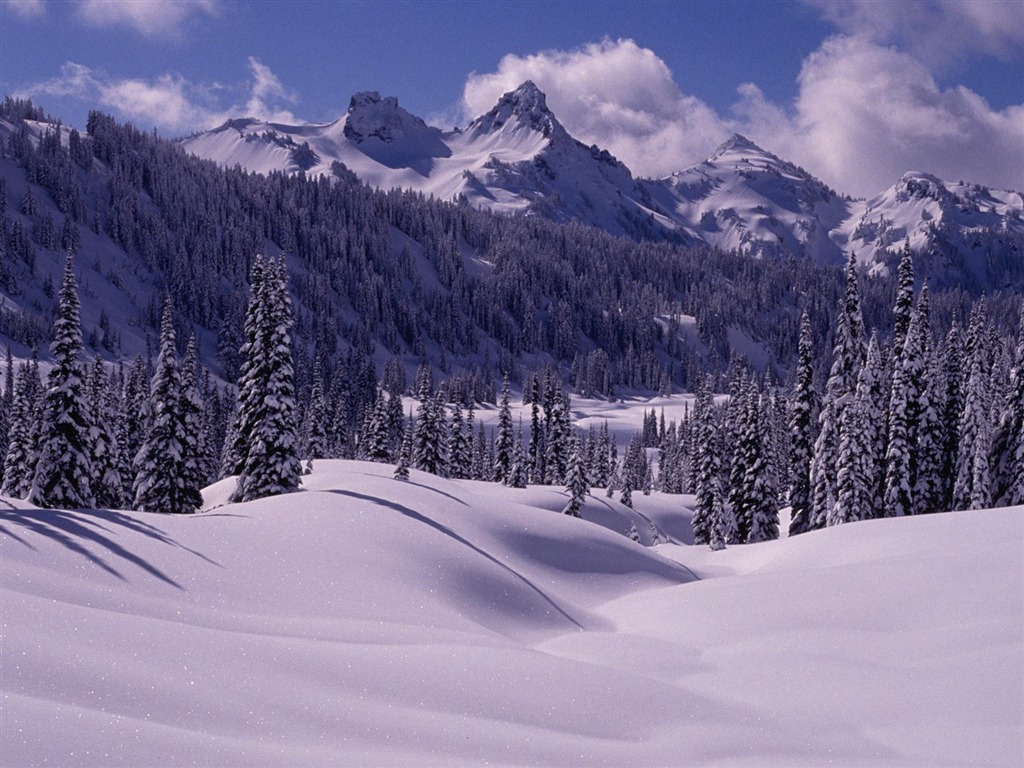 Invierno Nieve fondo de pantalla (3) #5 - 1024x768