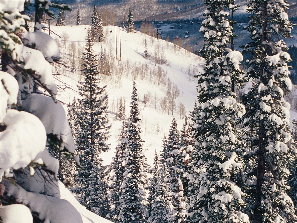 冬天雪景壁紙(三) #6 - 1024x768