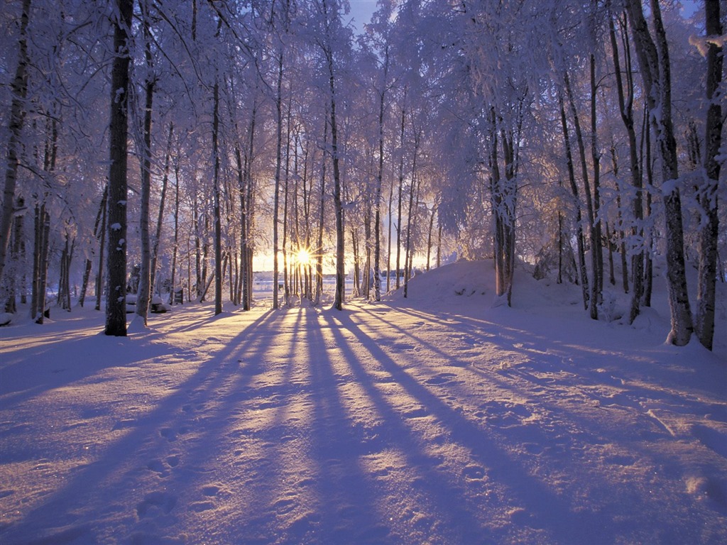 Winter Snow wallpaper (3) #9 - 1024x768