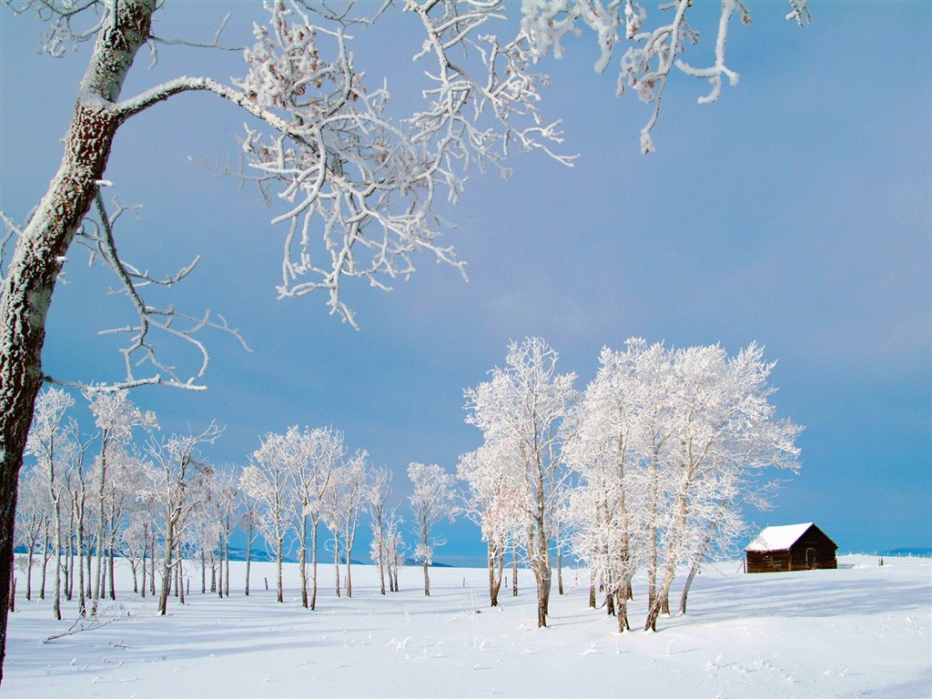 冬天雪景壁纸(三)10 - 1024x768