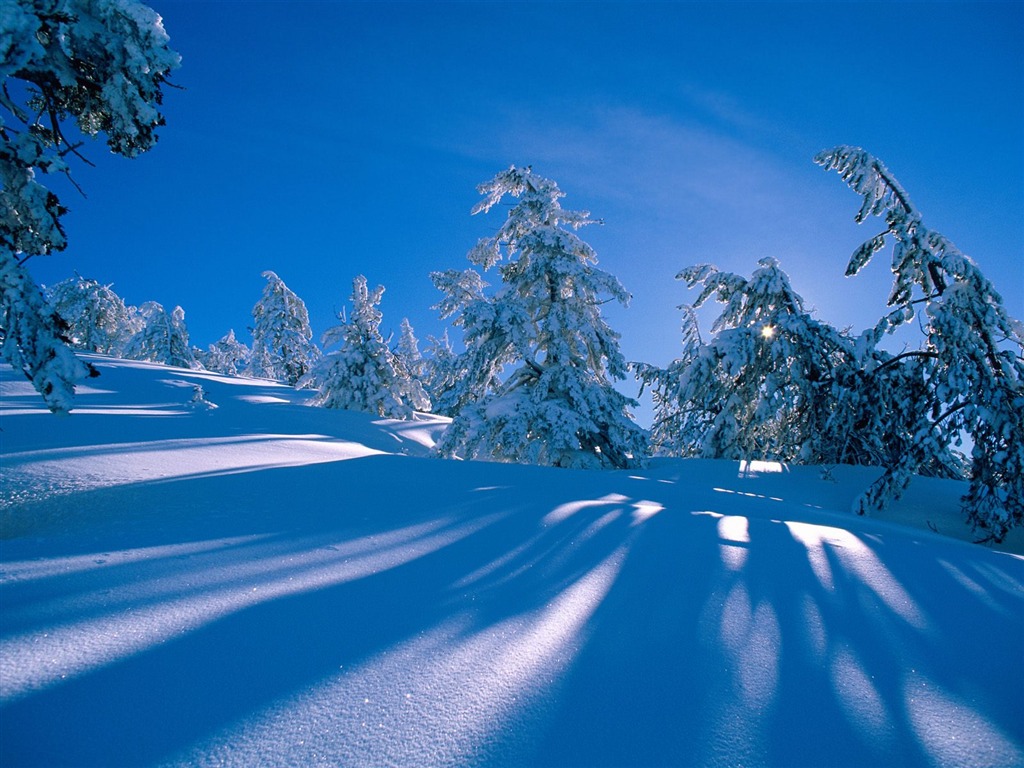 Winter Snow wallpaper (3) #14 - 1024x768