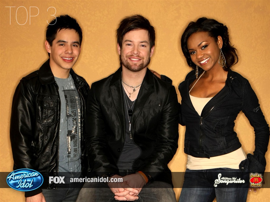 American Idol wallpaper (3) #10 - 1024x768