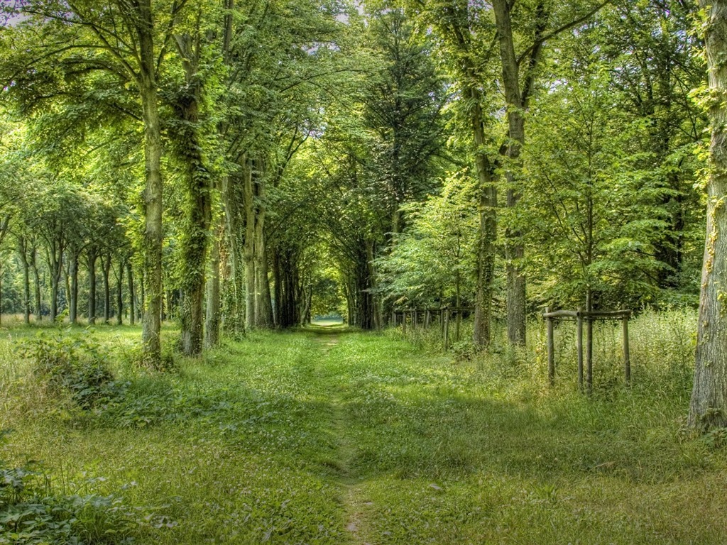 Krásně poskytnuté Krajina tapety (3) #6 - 1024x768