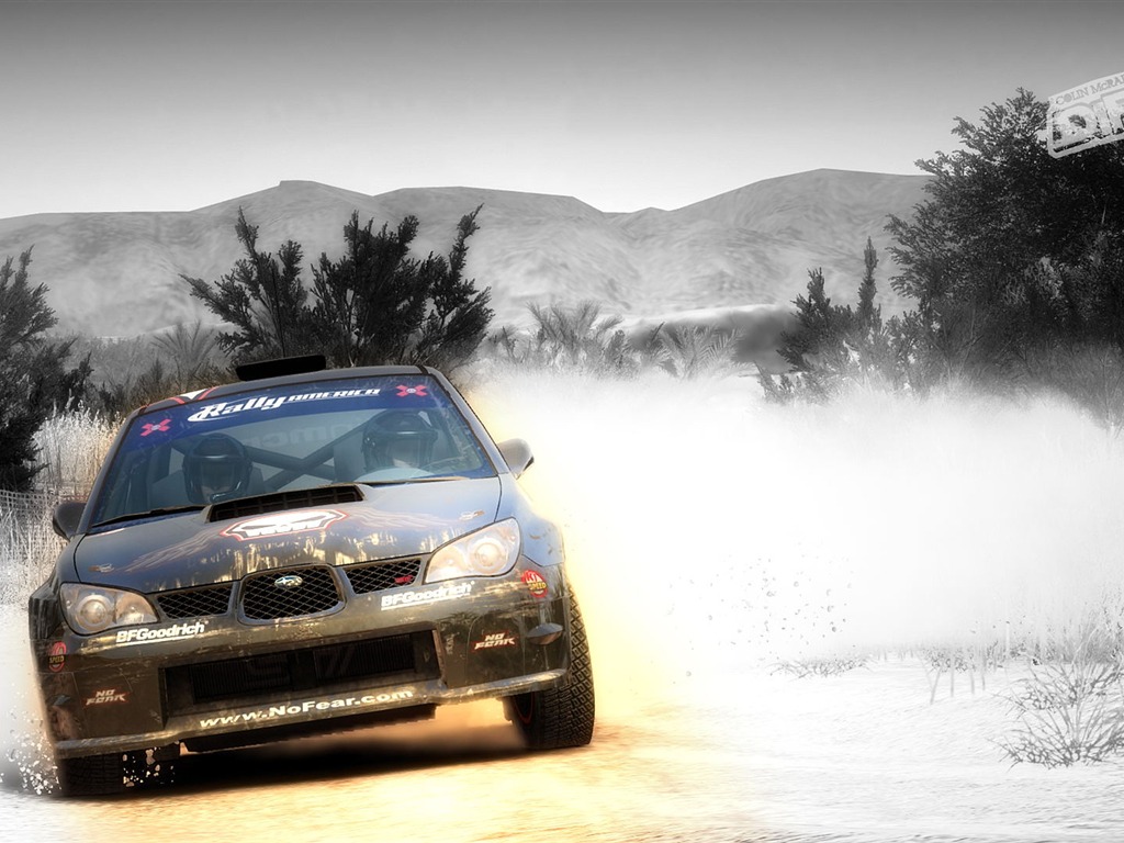 DiRT 2 塵埃 2 高清壁紙 #5 - 1024x768
