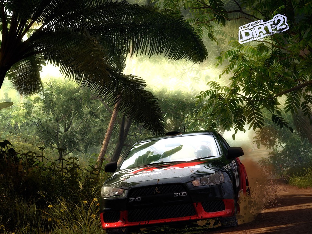 DIRT 2의 HD 배경 화면 #25 - 1024x768