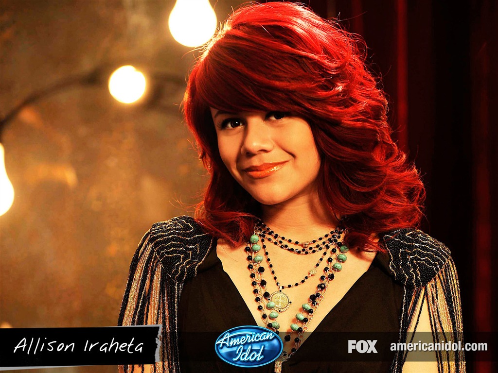 American Idol wallpaper (5) #16 - 1024x768