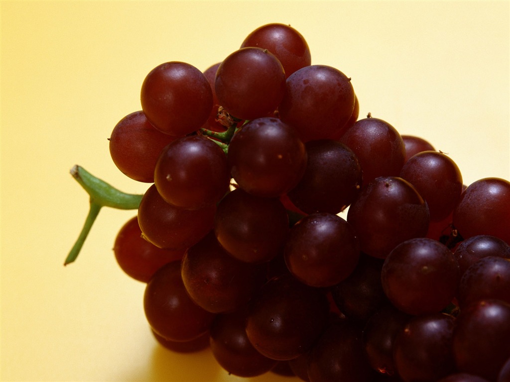 Fond d'écran photo de fruits (4) #16 - 1024x768