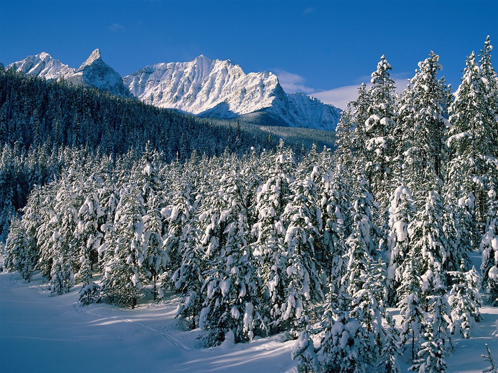 雪山雪景合集 壁紙(二) #5 - 1024x768