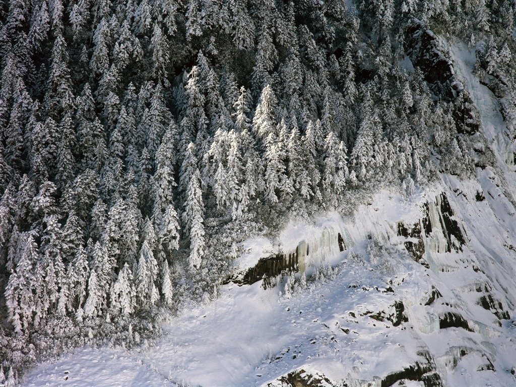 La nieve recogida de papel tapiz (2) #8 - 1024x768