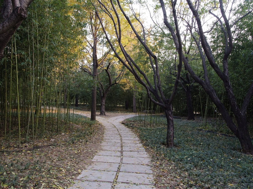 Xiangshan Herbst Garten (Bewehren) #9 - 1024x768