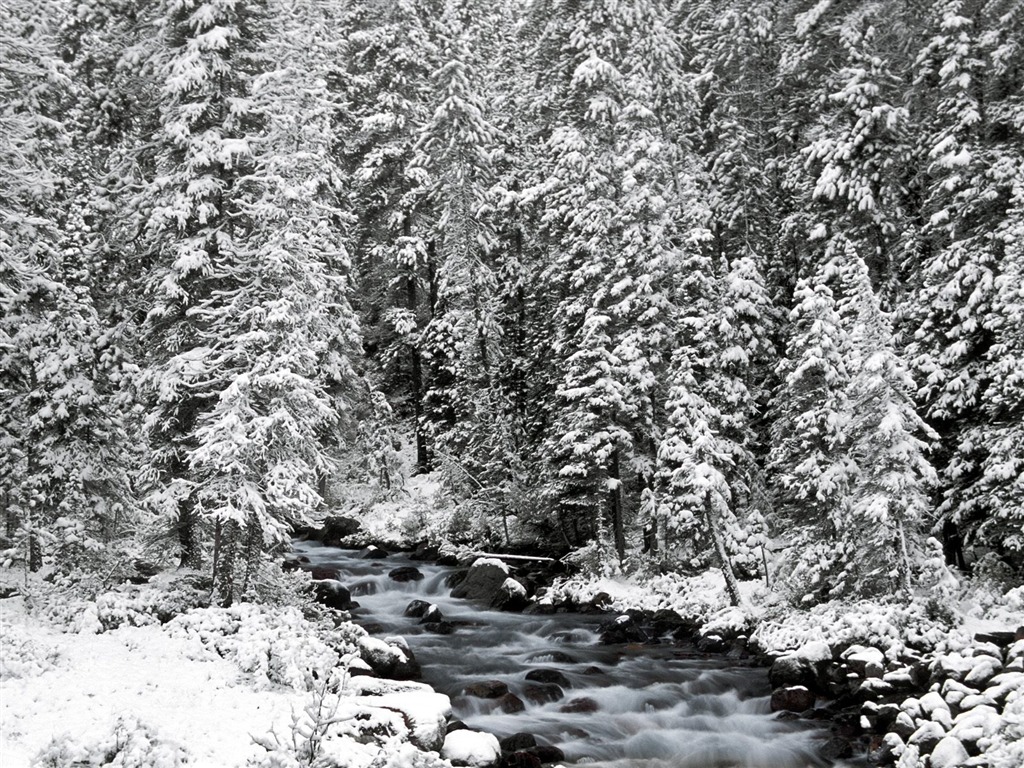 雪山雪景合集 壁紙(三) #2 - 1024x768