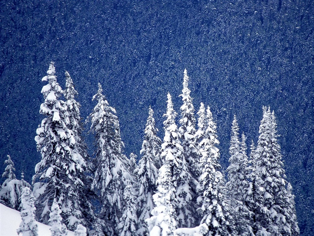 雪山雪景合集 壁紙(三) #15 - 1024x768