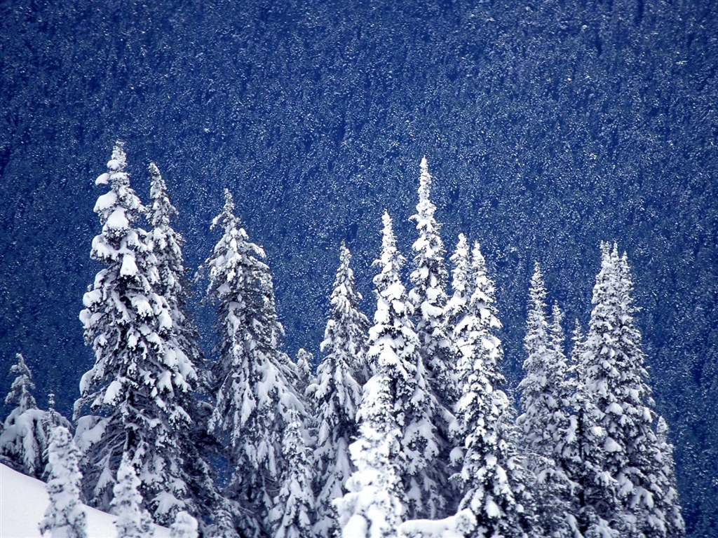 雪山雪景合集 壁纸(三)15 - 1024x768