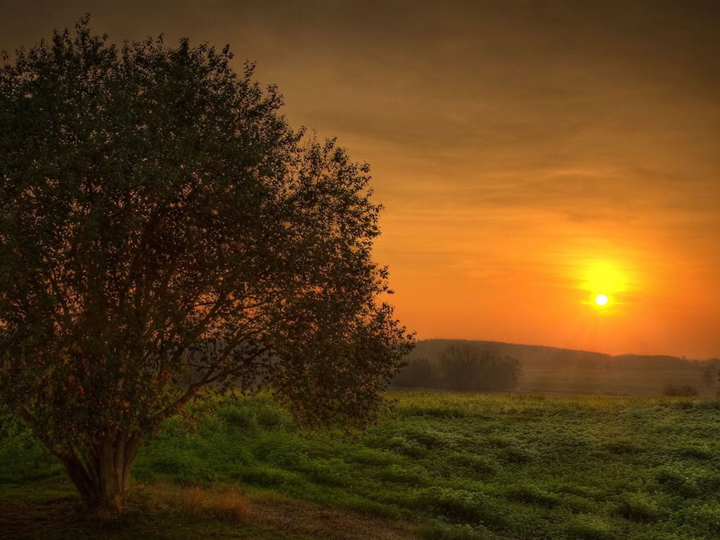 Wunderschön gerenderten Landschaften Wallpaper (7) #11 - 1024x768