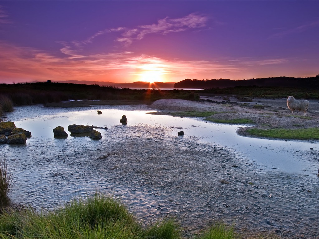 Wunderschön gerenderten Landschaften Wallpaper (7) #12 - 1024x768