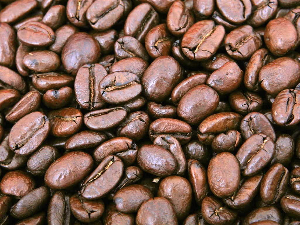 Coffee feature wallpaper (2) #7 - 1024x768