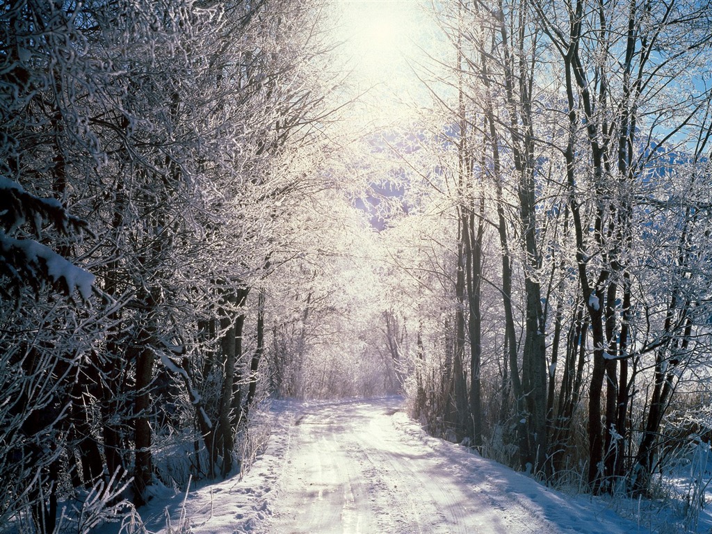 雪山雪景合集 壁紙(四) #12 - 1024x768