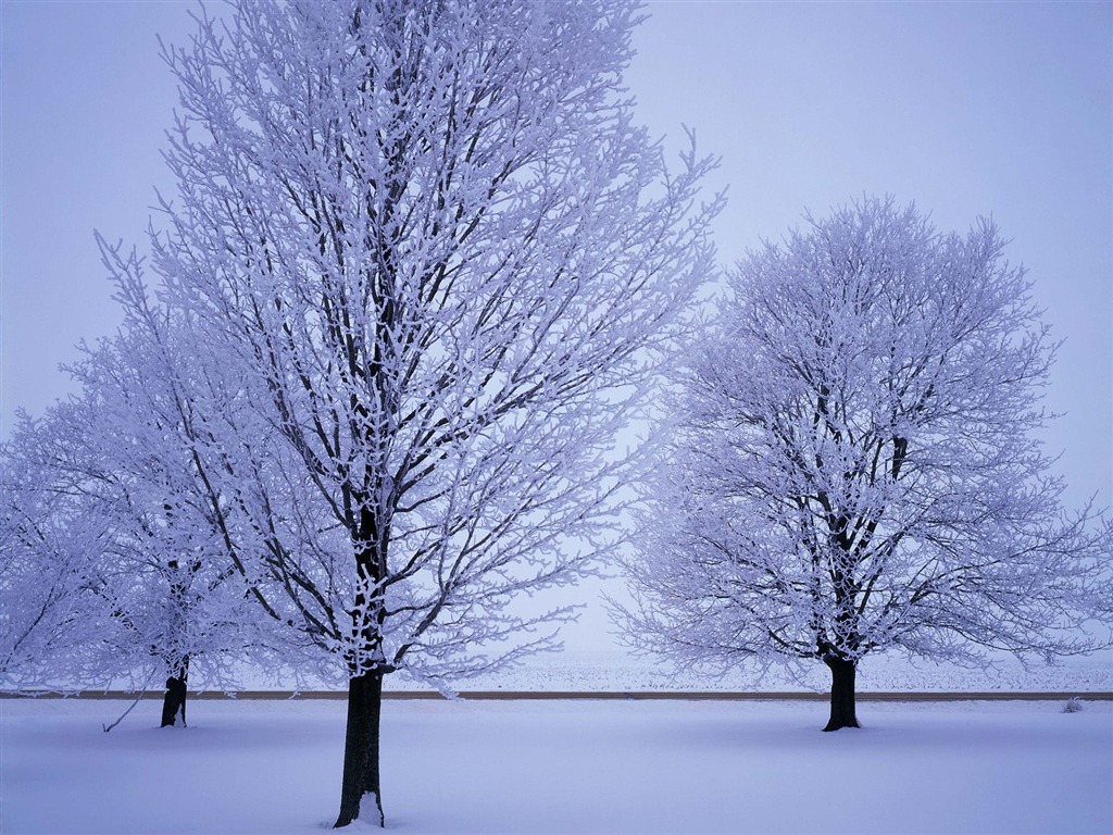 Snow wallpaper collection (4) #18 - 1024x768