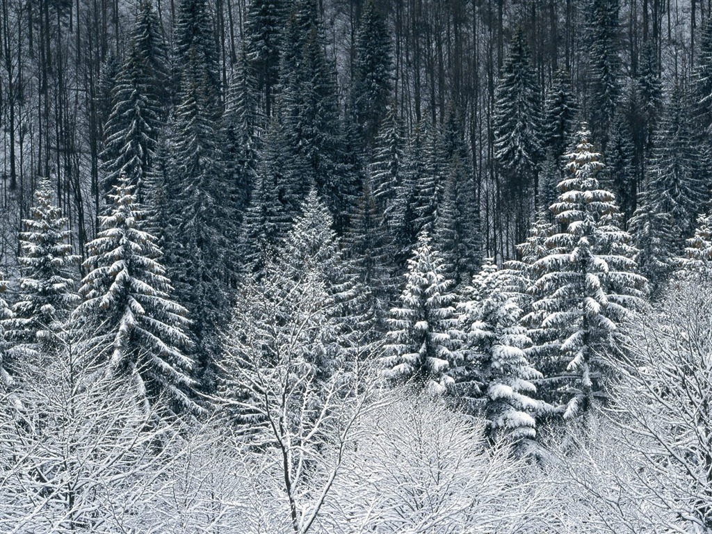 雪山雪景合集 壁纸(四)20 - 1024x768