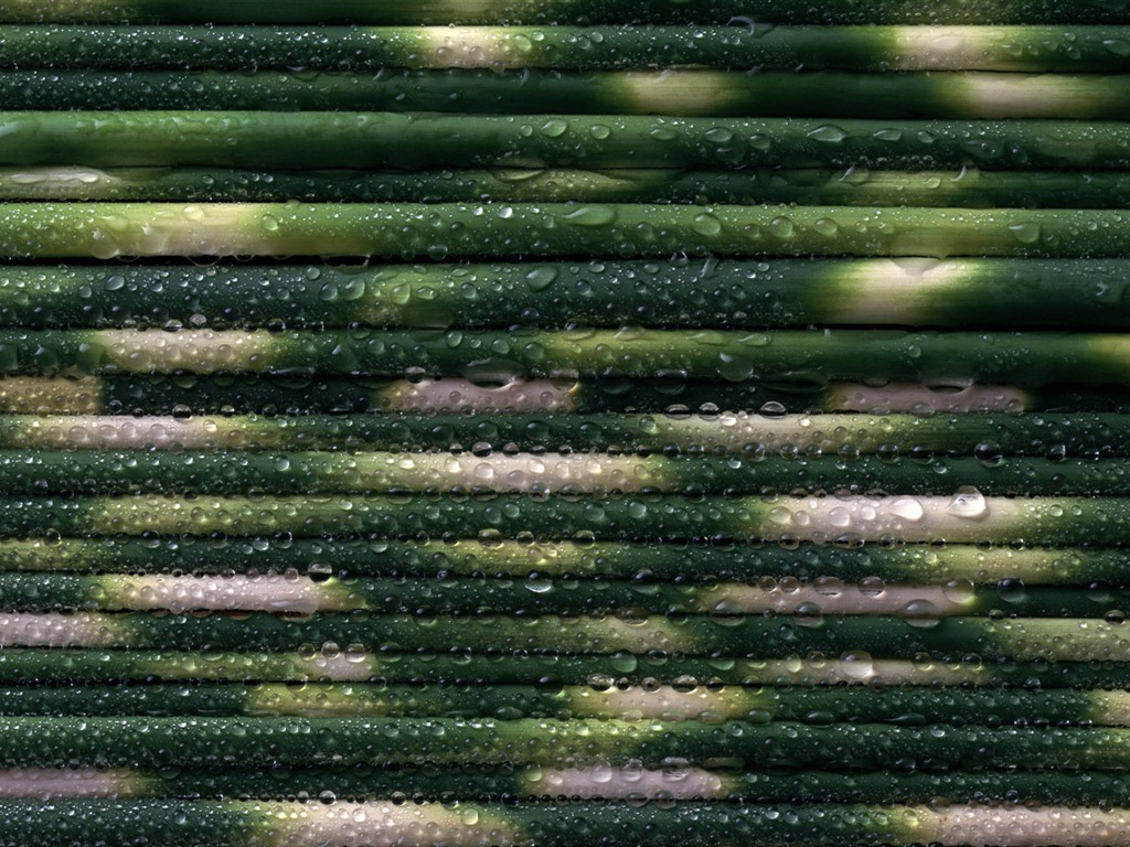 1680 꽃 녹색 잎 배경 벽지 (3) #7 - 1024x768