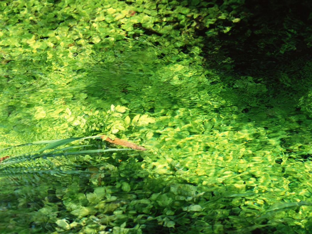 Stream Celovečerní Wallpaper (1) #18 - 1024x768