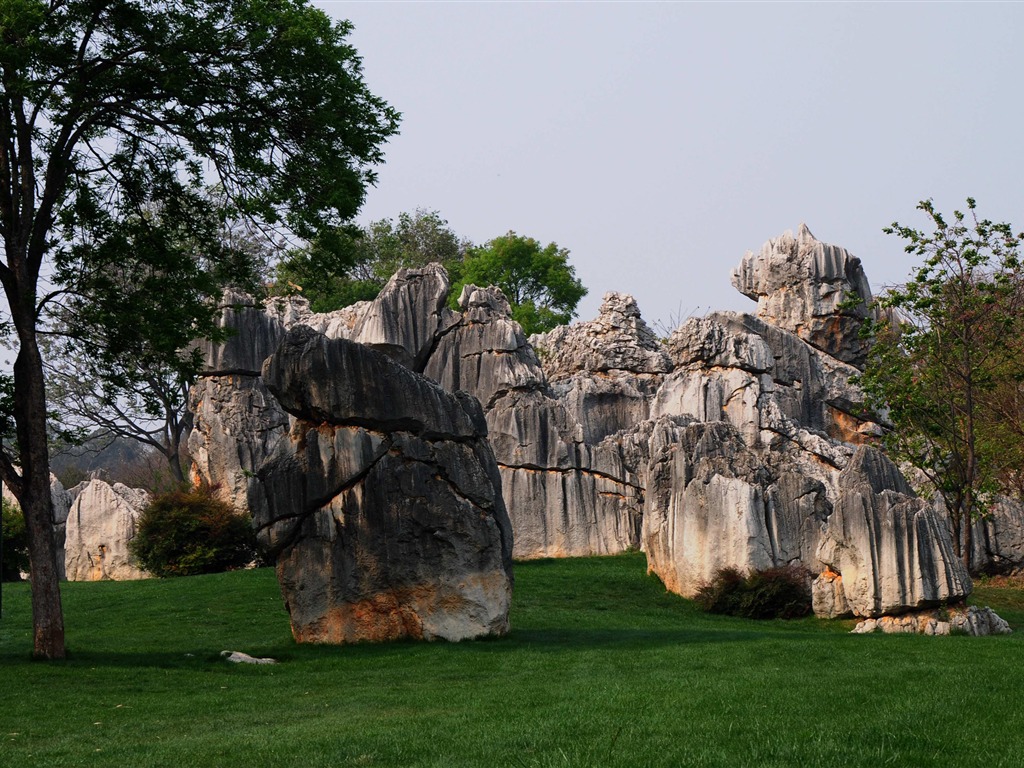 Stone Forest in Yunnan line (2) (Khitan wolf works) #25 - 1024x768